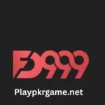 FD999 Game