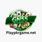 GN55 Game