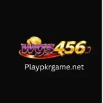 WGS456 Game