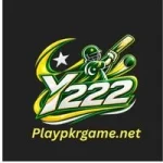 Y222 Game